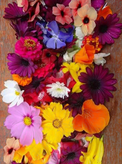 athena-naia-guzman-poole-flowers-bloom