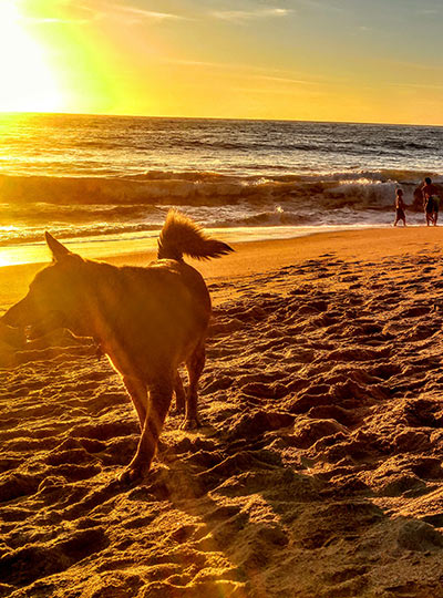 athena-naia-guzman-poole-sunset-beach-coyote athena naia guzman poole womans footsteps in the sand on a pacific ocean beach in mexico