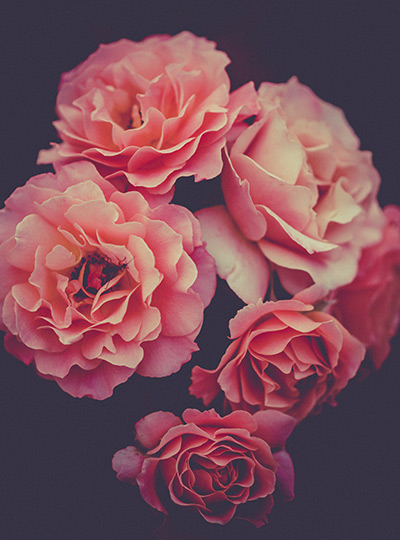 athena-naia-guzman-poole-flower-bloom